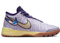 Nike Zoom LeBron NXXT Genisus Amethyst Tint Court Purple