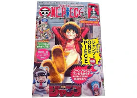 One Piece Vol. 20 Magazine (No Promo Card) - authentic One Piece product