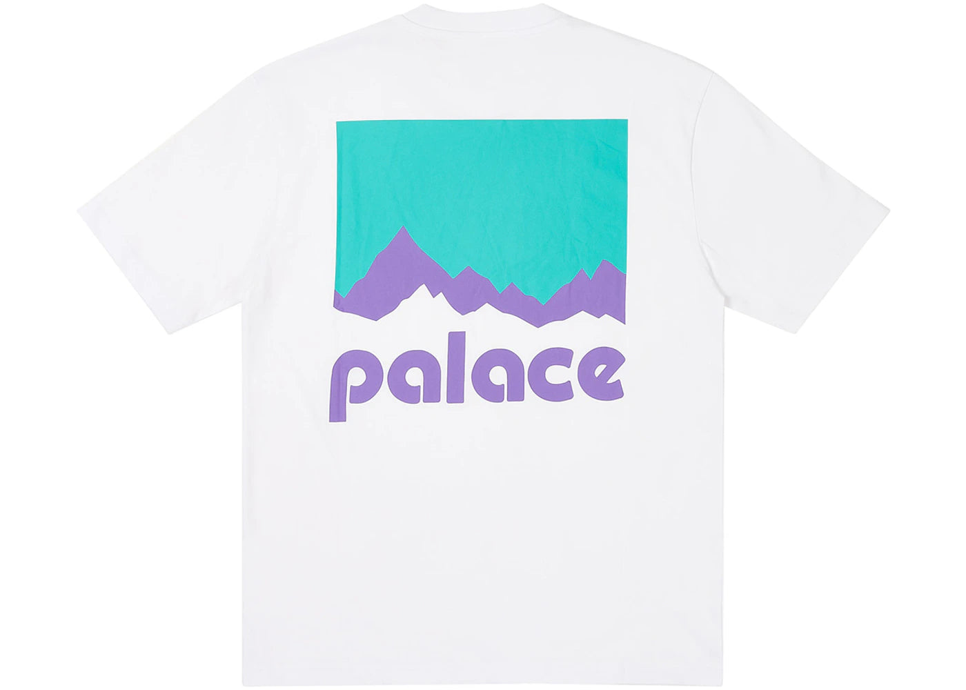 Palace Berghaus T-Shirt White - vue secondaire A