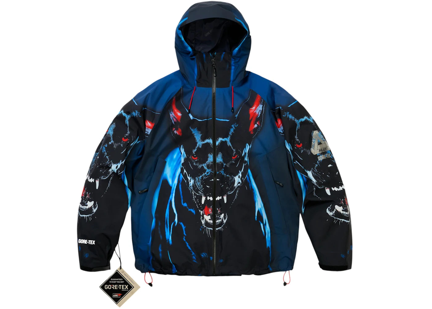 Palace GORE-TEX 2L P-TEK Jacket K-Nein Print - vue secondaire A