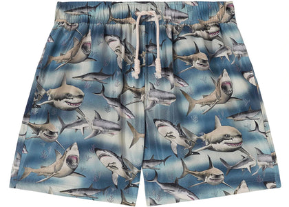 Palm Angels Sharks Swim Shorts Blue/Black/Multi - authentic Palm Angels apparel