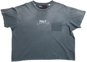 Paly Core Logo Tee Washed Blue - vue 360