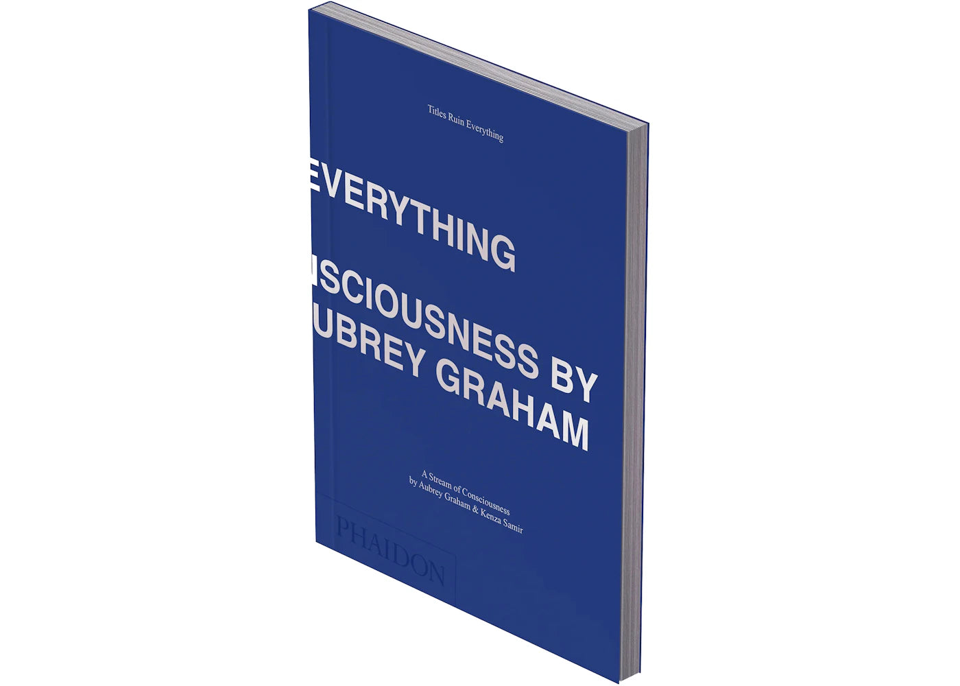 Phaidon Titles Ruin Everything A Stream of Consciousness by Aubrey Graham and Kenza Samir Book - vue secondaire A