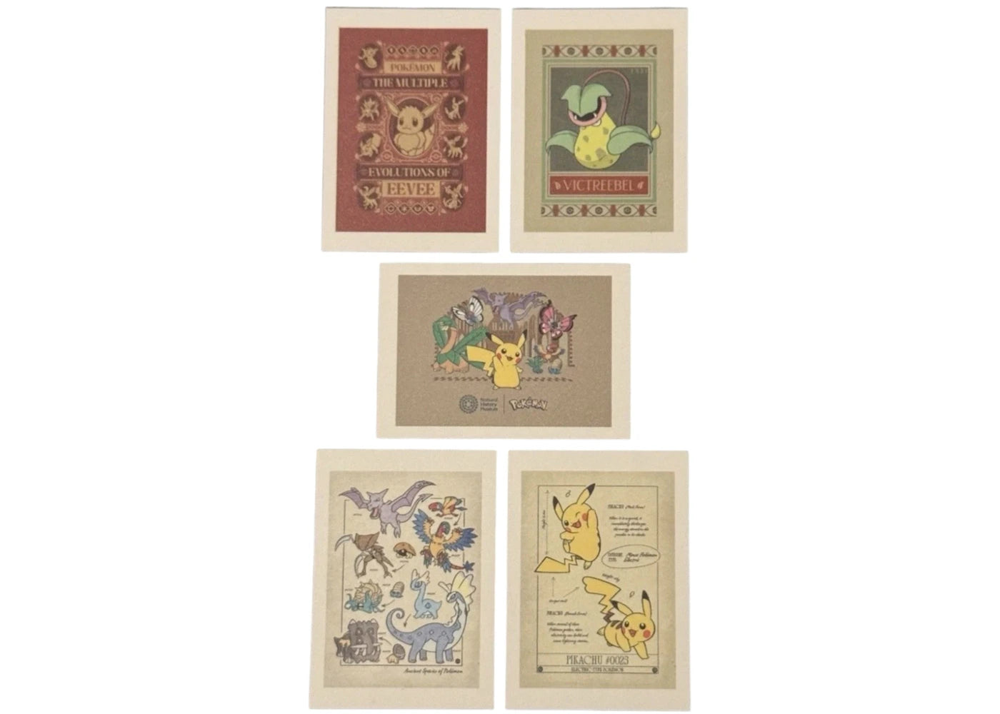 Pokemon x Natural History Museum A3 Art Print Set - vue secondaire B