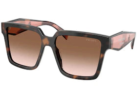 Prada Square Sunglasses Mauve Tortoise (PR_24ZS_23A0A6_56mm) - vue 360