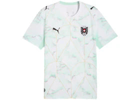 Puma Mexico Soccer Fanwear Big Kids' Jersey