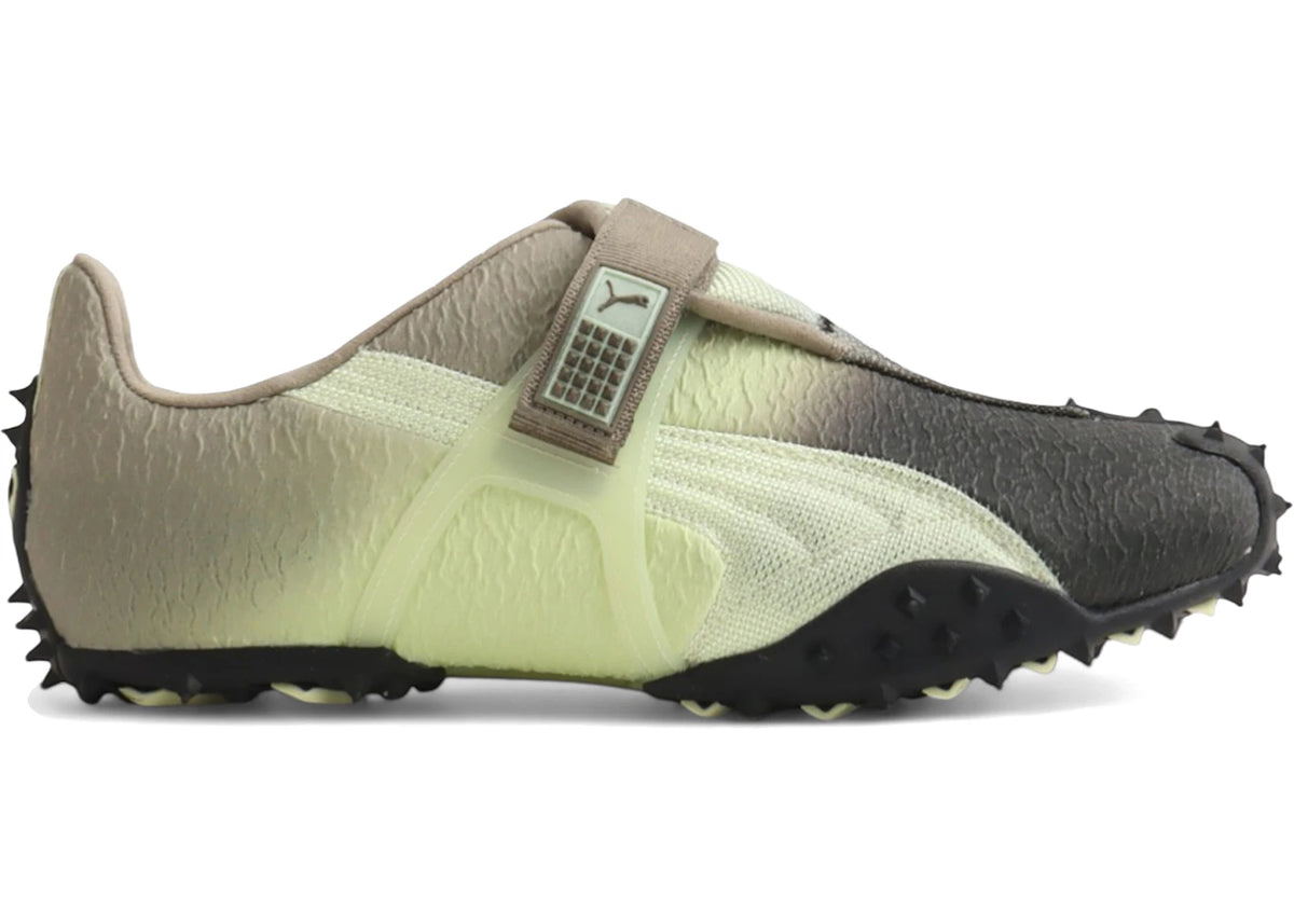 Puma RPT-2 Biology Experiment Wabi-Sabi - vue secondaire A