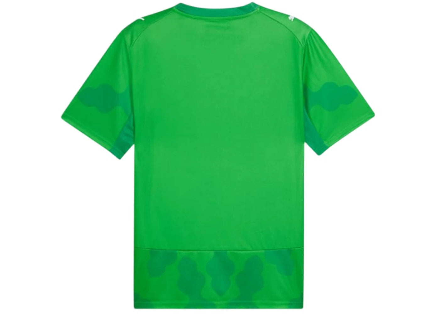 Puma x Egypt x Salehe Bembury Goalkeeper Jersey PUMA Green-Fast Green - vue secondaire B