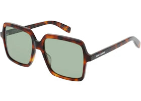 Saint Laurent Square Sunglasses Havana/Havana/Green (SL174-30001575-002) - vue 360