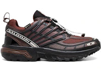 Salomon ACS Pro Gore-Tex Clay Rum Raisin