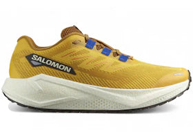 Salomon Aero Blaze 3 GRVL Spicy Mustard Nautical Blue - vue 360