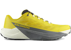 Salomon Pulsar Incaberry Sedona Sage - vue 360