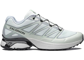 Salomon XT-Pathway 2 Ice Flow Grey Violet - vue 360
