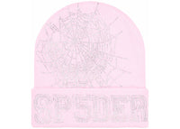 Sp5der Web Beanie Rosa