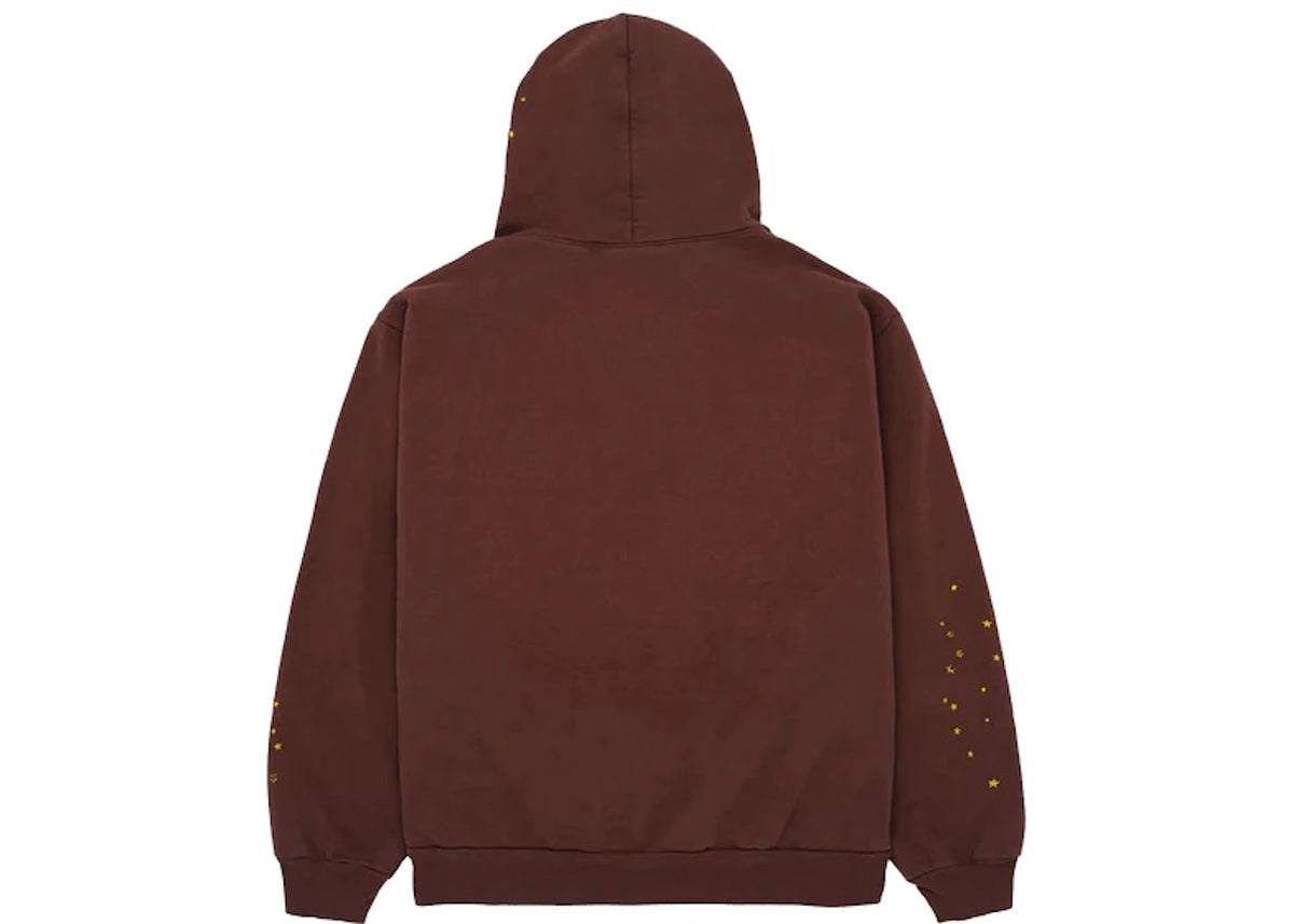 Sp5der Web Hoodie Braun - vue secondaire A