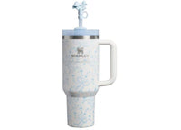 Stanley 1913 x LoveShackFancy Holiday FlowState Quencher 40oz Tumbler Coquette Bow Winter Ice