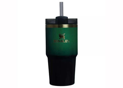 Stanley x Target x Wicked Flowstate Quencher 20oz Tumbler Elphaba - authentic Stanley product