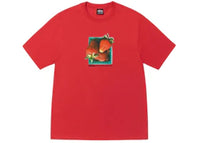 Stussy Berries T-shirt Cayenne
