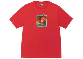 Stussy Berries T-shirt Cayenne