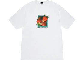 Stussy Berries Tee White