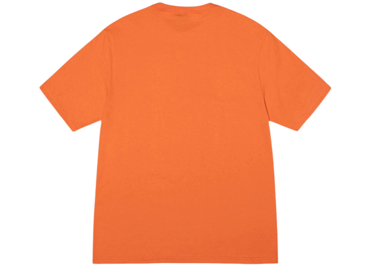 Stussy Champion Tee Coral - vue secondaire B