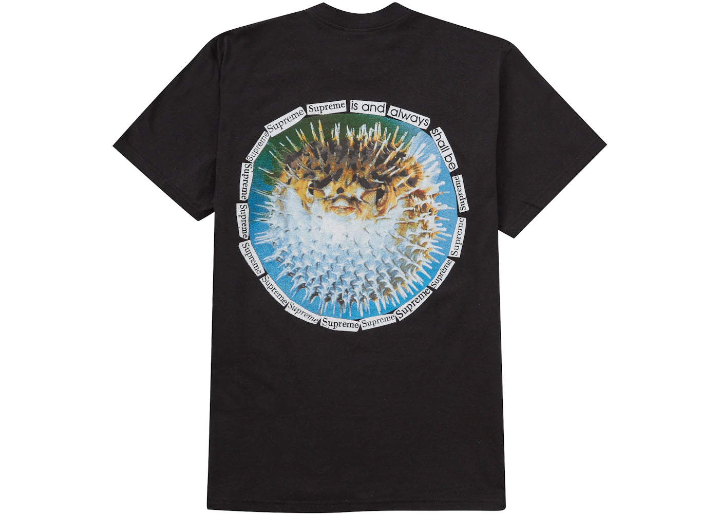 Supreme Blowfish Tee Black - vue secondaire A