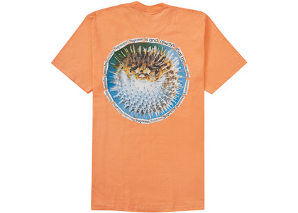 Supreme Blowfish Tee Peach - product view 2