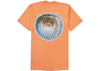 Supreme Blowfish Tee Peach