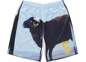 Supreme Damien Hirst Soccer Short Black