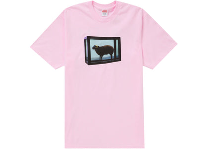 Supreme Damien Hirst Tee Light Pink - authentic Supreme product