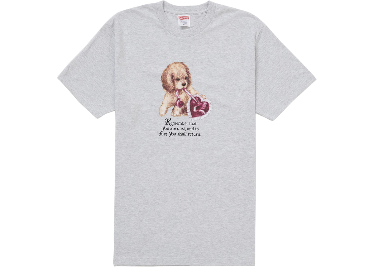 Supreme Dust Tee Ash Grey - vue secondaire A