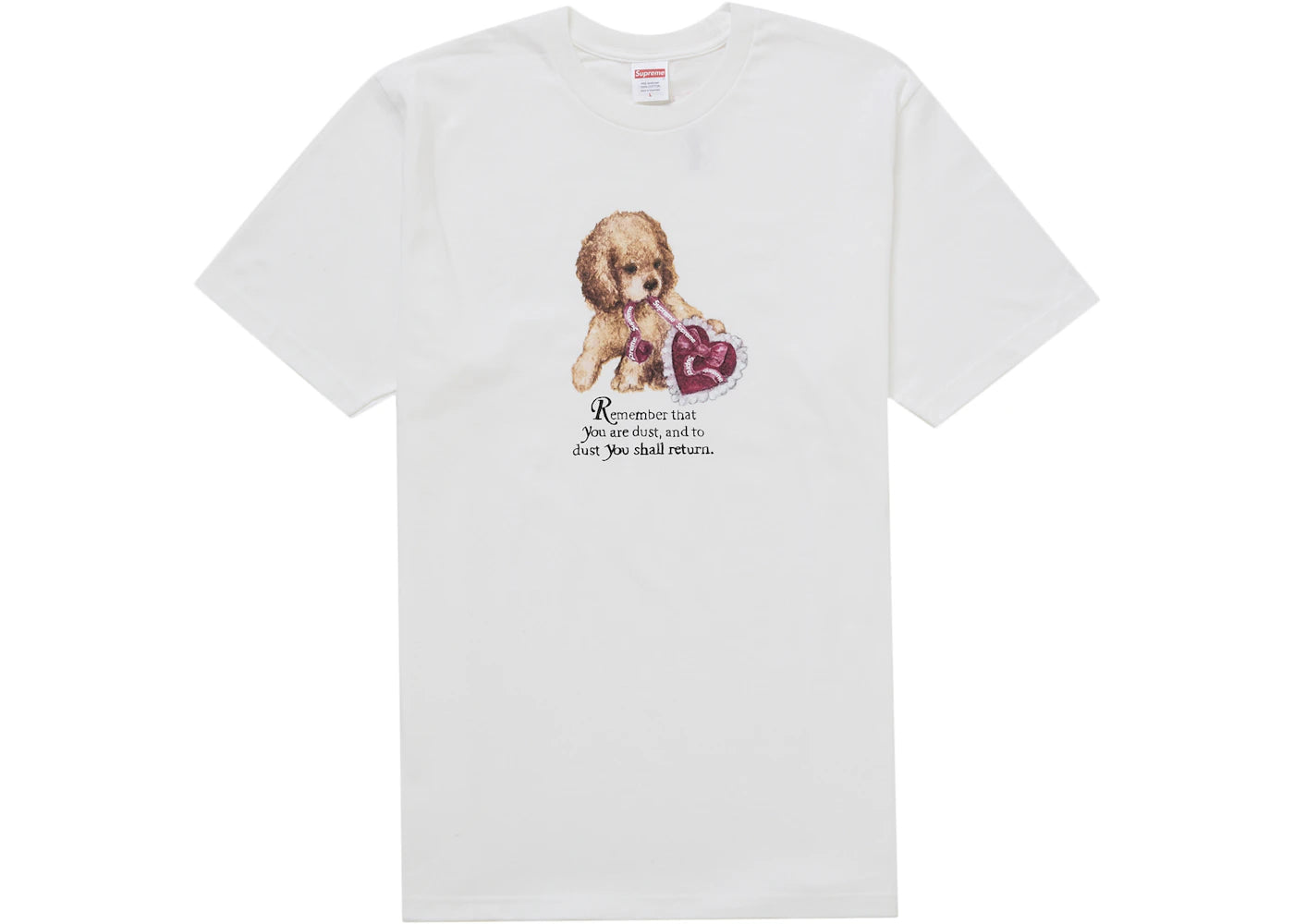 Supreme Dust Tee White - vue 360