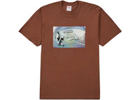 Supreme Dylan Tee Brown