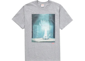 Supreme Fuck Tee Heather Grey