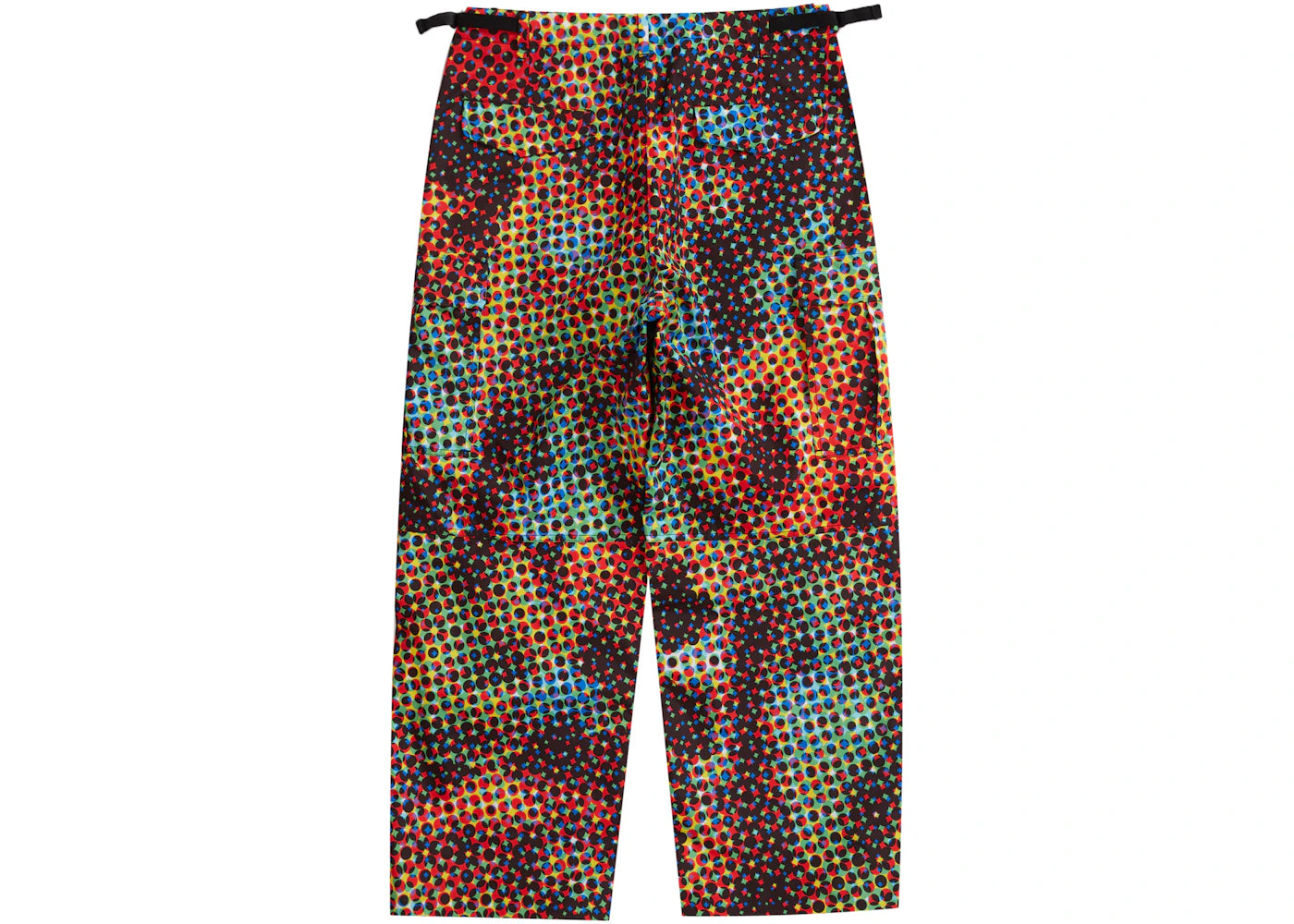 Supreme GORE-TEX PACLITE Cargo Pant Multicolor - vue secondaire B