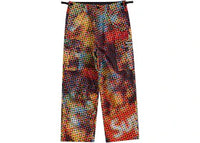 Supreme GORE-TEX PACLITE Cargo Pant Multicolor