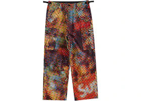 Supreme GORE-TEX PACLITE Cargo Pant Multicolor - authentic Supreme product