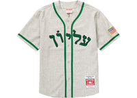 Supreme Mitchell & Ness Wool Baseball Jersey Grey