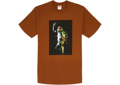 Supreme Raphael Tee Brown - authentic Supreme product
