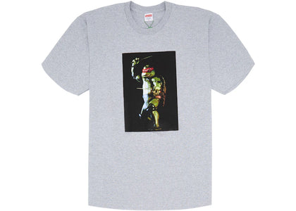 Supreme Raphael Tee Heather Grey - authentic Supreme product