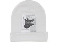 Supreme The North Face Beanie (FW24) White