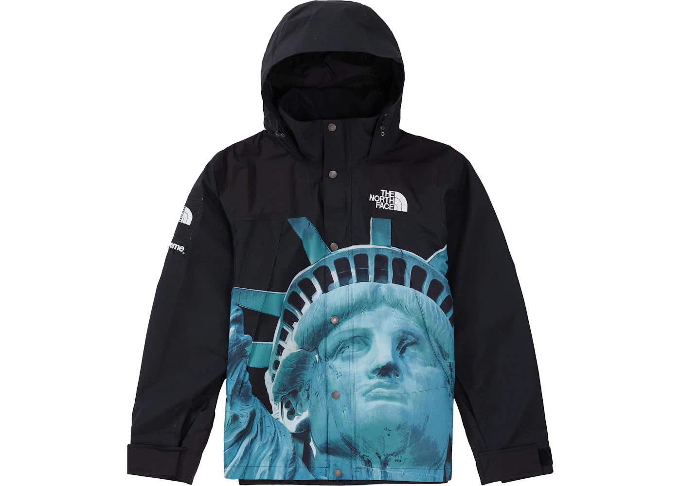 Supreme The North Face Statue of Liberty Mountain Jacket Black - vue 360