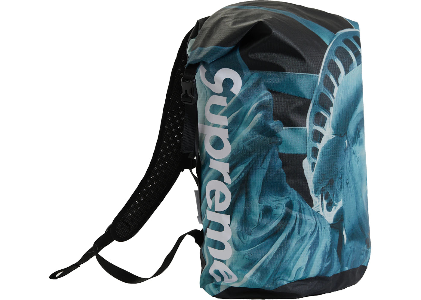 Supreme The North Face Statue of Liberty Waterproof Backpack Black - vue secondaire B