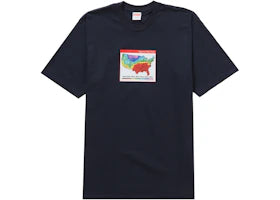 Supreme Weather Tee Navy - vue 360