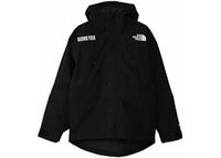 The North Face GTX Mountain Guide Insulated Parka Black