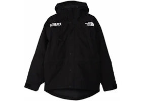 The North Face GTX Mountain Guide Insulated Parka Black