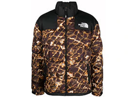 The North Face Lhotse Jacket Black/Gold