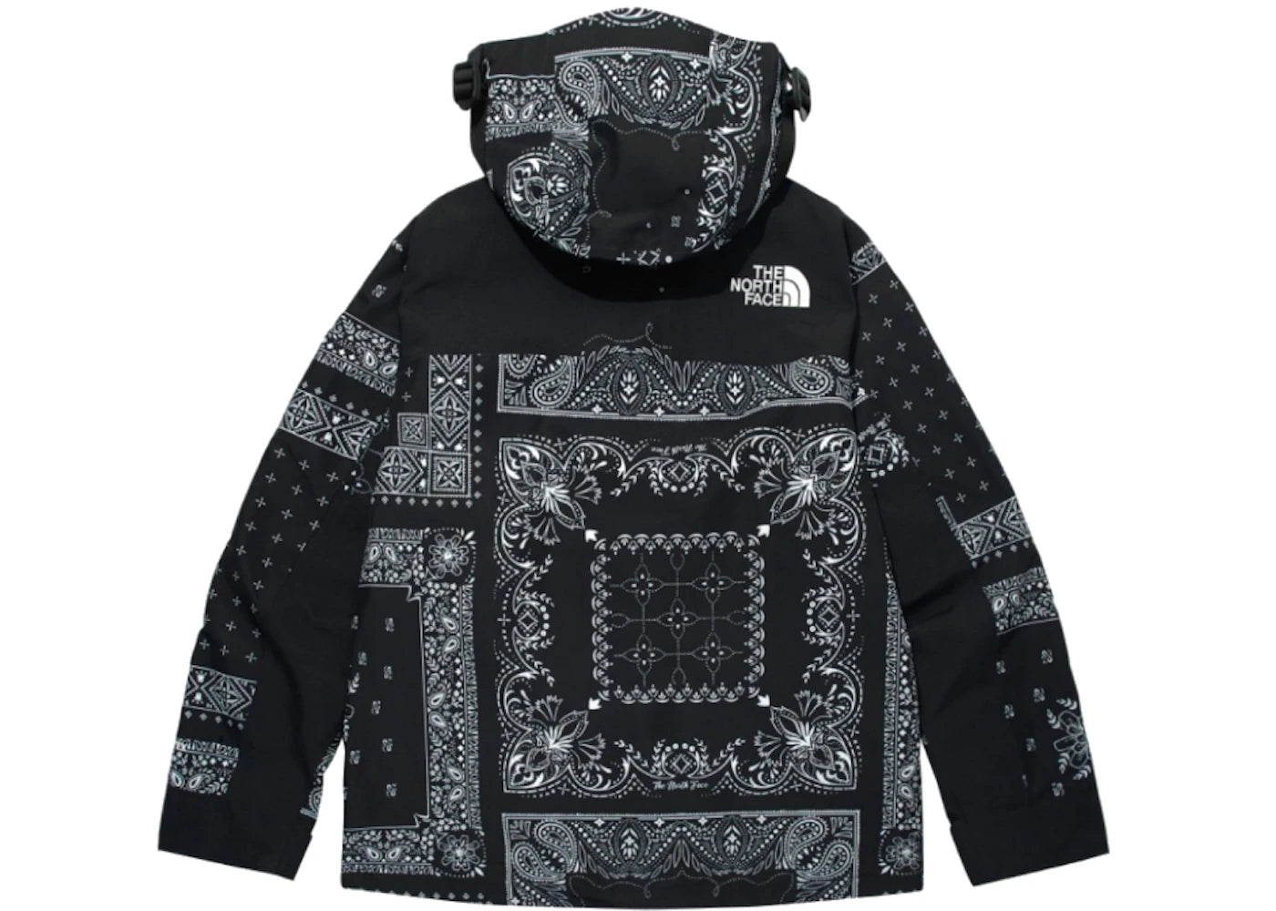The North Face Novelty GTX Paisley Mountain Jacket Black - vue secondaire A