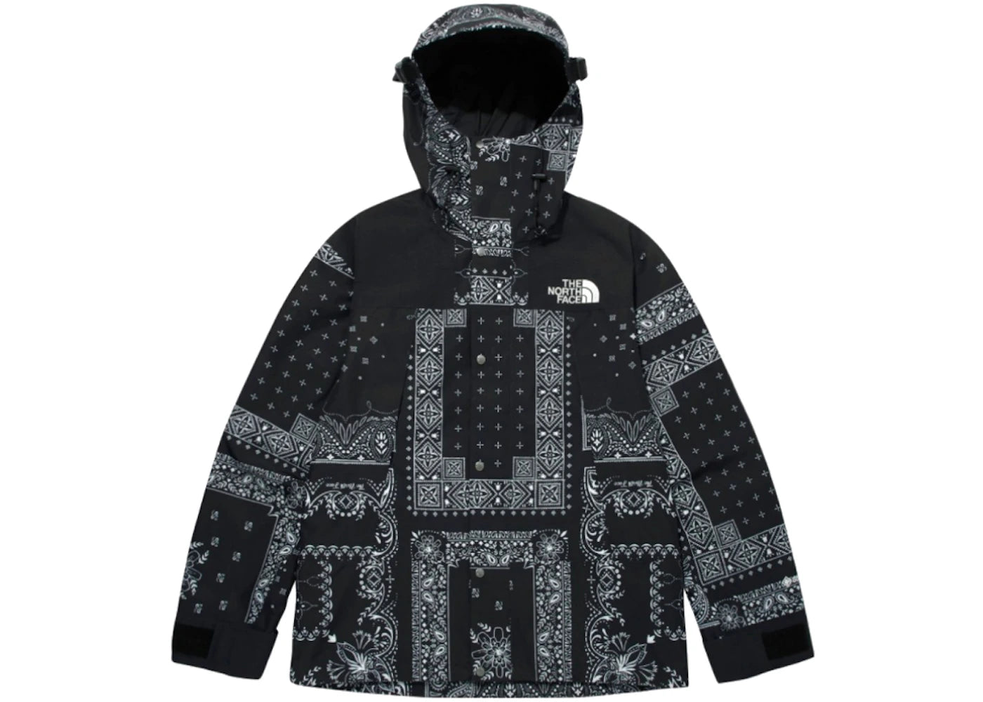 The North Face Novelty GTX Paisley Mountain Jacket Black - vue 360