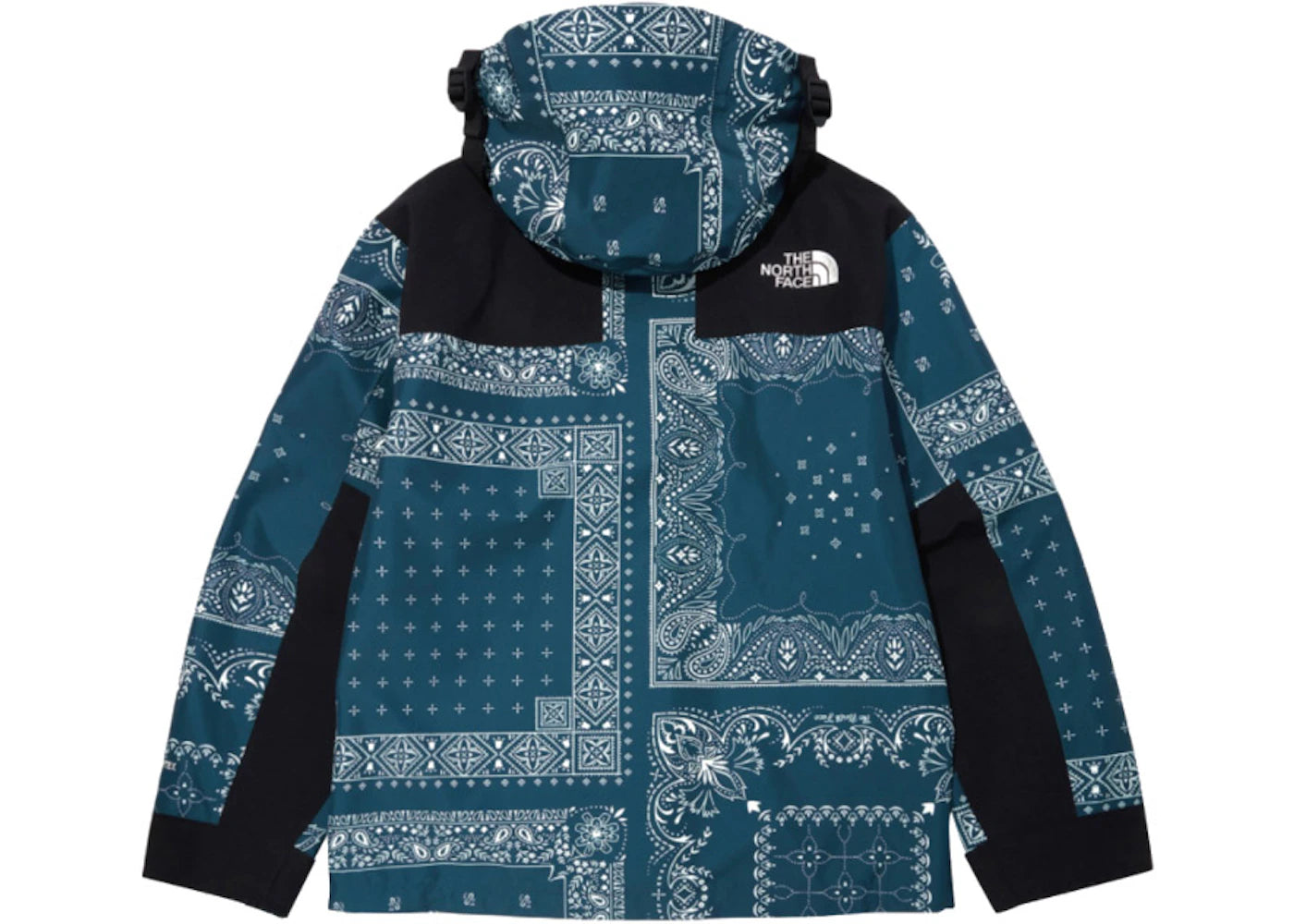 The North Face Novelty GTX Paisley Mountain Jacket Peacock Blue - vue secondaire B